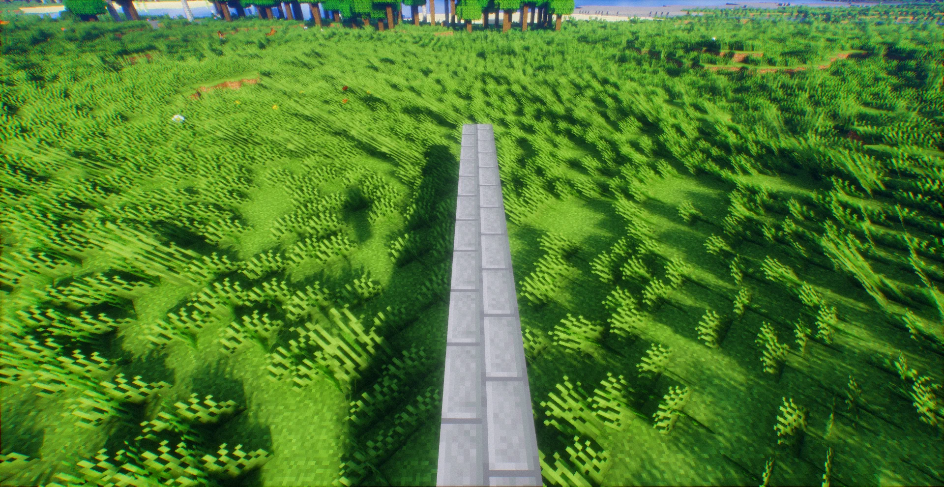 Standing on a path through a field with the grass laid over hard by the wind