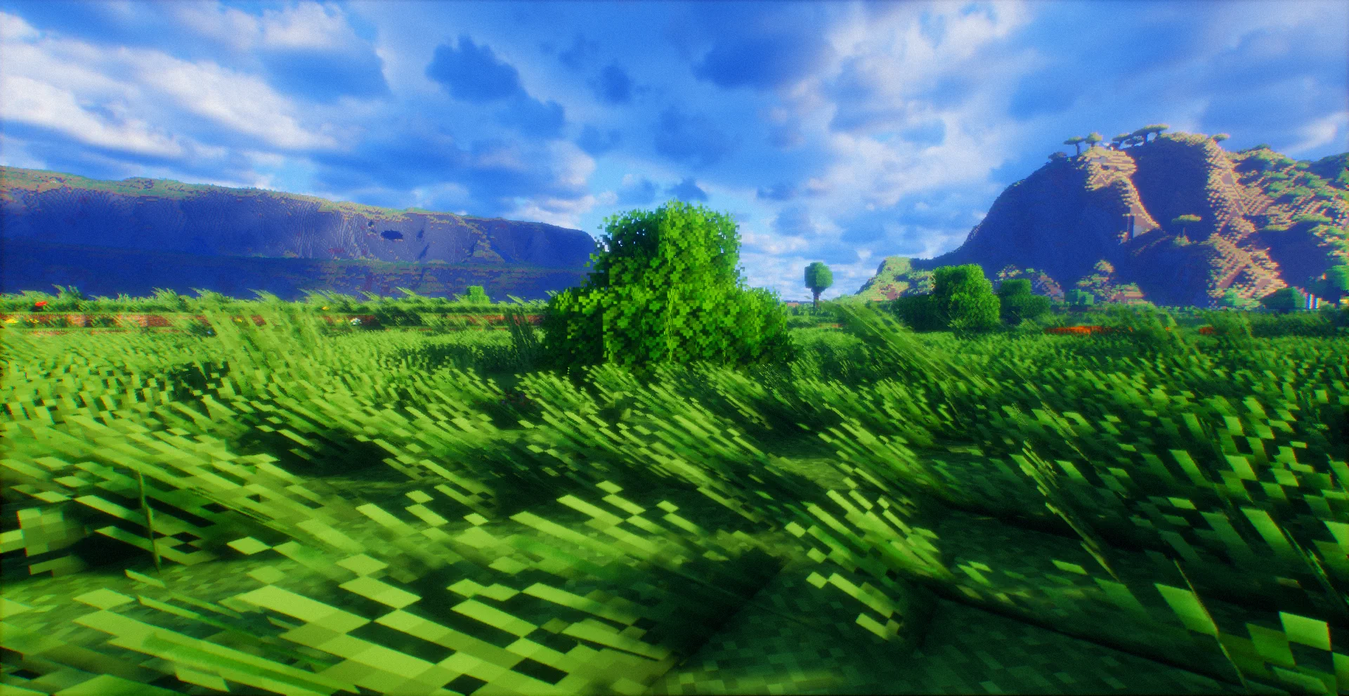 A field and a single tree under a blue sky, with no visualizer running